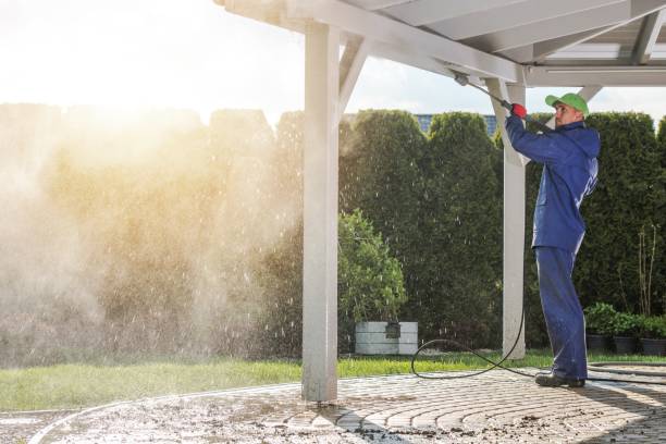 Best Fleet Vehicle Washing  in Shenandoah, LA
